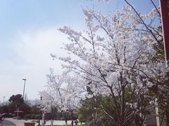 -湘湖金融镇
