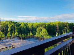 -长白山万达喜来登度假酒店