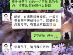 -宠爱国际动物医院·消化内科·心肾内科·ISFM猫友好(望京店)