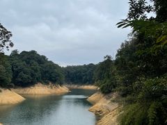 -广州市流溪河国家森林公园