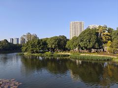 -荔湾湖公园