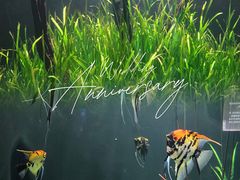 -成都浩海立方海洋公园