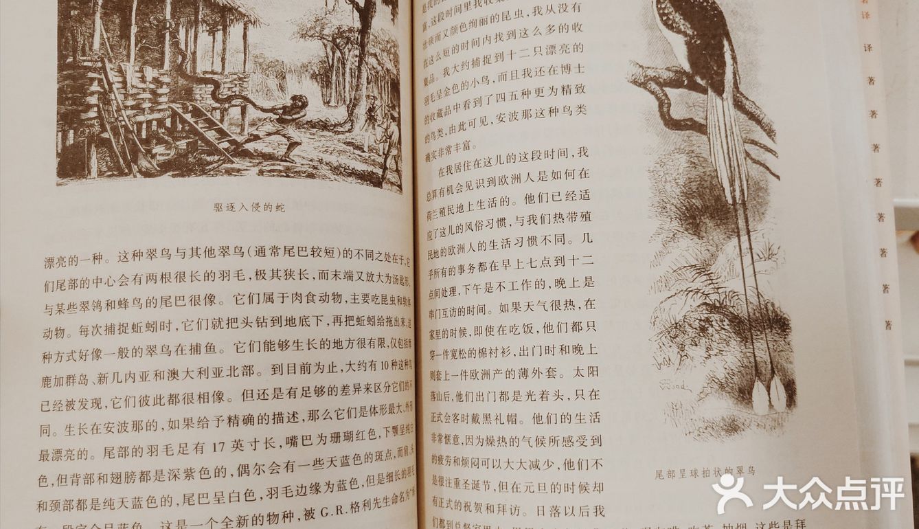 科学家们再走达尔文小猎犬号之旅。1854-1862