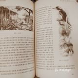 科学家们再走达尔文小猎犬号之旅。1854-1862
