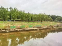 -青龙湖公园