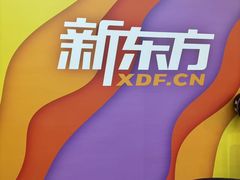 -新东方素质(金源校区)