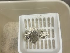 -瑞派康怡24h宠物医院·犬猫医疗中心·微创绝育(瑞景分院)