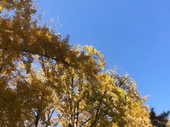-钓鱼台国宾馆