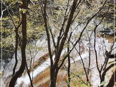 -西安祥峪森林公园