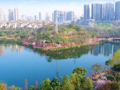 -重庆彩云湖湿地公园