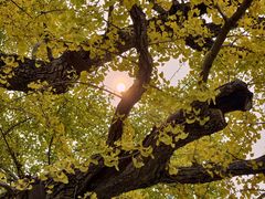 -清华大学玉泉医院