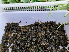 食材-瑶河山里菜