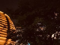 -城市阳台