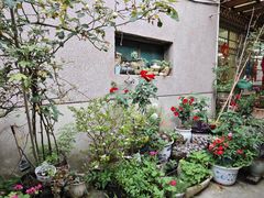 -王万妈卤猪脚(青岩交通路)