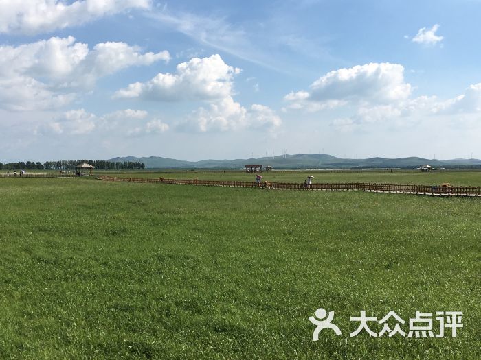 五花草甸-图片-沽源县周边游-大众点评网