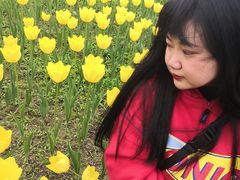 -秀丽东方