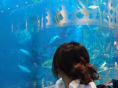 -瑞德姆美人鱼海底演艺主题餐厅(亚龙湾店)