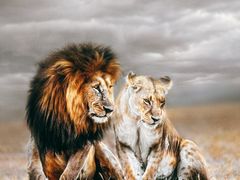 -罗红摄影艺术馆