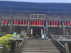 -大唐贡茶院