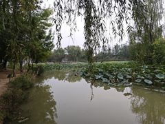 -西安浐灞国家湿地公园