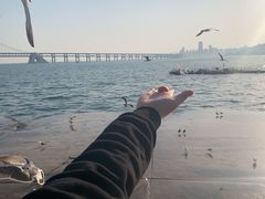 -星海广场