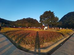 -广州市石门国家森林公园