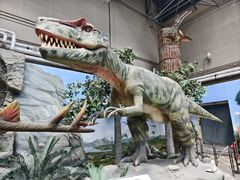 -国家自然博物馆