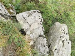 -牛背梁国家森林公园