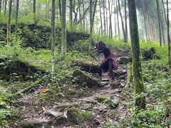 -西岭雪山大飞水景区