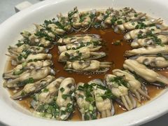 -沪碟·精菜坊(闵行店)