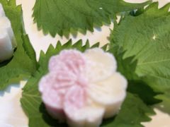 -芙蓉堂(武汉天地店)