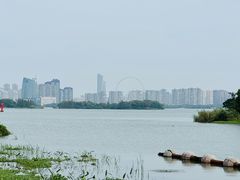 -长广溪湿地公园
