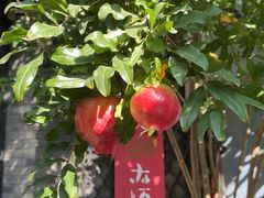 -四喜小胖·北京涮肉(五道营店)