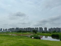 -洋湖国家湿地公园
