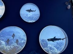 -上海中国航海博物馆