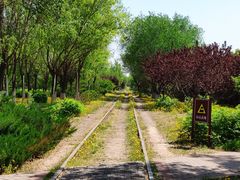 -永定河休闲森林公园