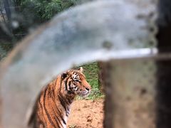 -贵州森林野生动物园