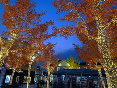 -Max Mara(王府井奥莱·香江小镇店)