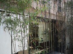 -柴务处·柴犬主题狗咖