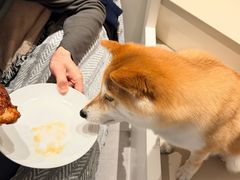 -大益烤鸡
