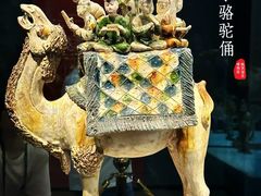 -陕西历史博物馆