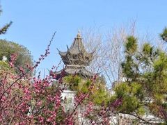 -江宁织造博物馆