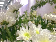 -四季美学色彩形象管理服装搭配