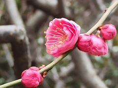 -静安雕塑公园