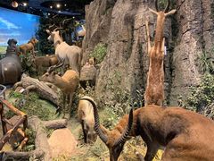 -陕西自然博物馆