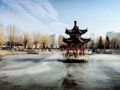 -东北大学(秦皇岛分校)