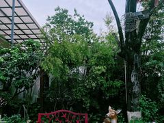 -大隐花事(熊婆婆的花园店)