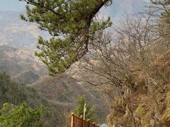 -塔云山