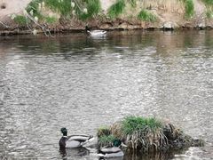 -水磨沟公园