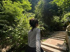 -红崖峡谷景区